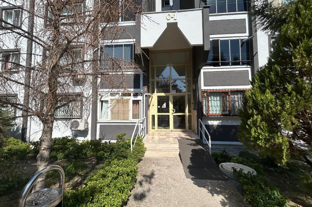 C21 BAL'DAN TOKİ YENİMAHALLE 2.ETAPTA 3+1 KİRALIK DAİRE