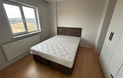 C21 BAL'DAN TOKİ YENİ MAH EŞYALI YENİLENMİŞ KİRALIK 1+1 DAİRE