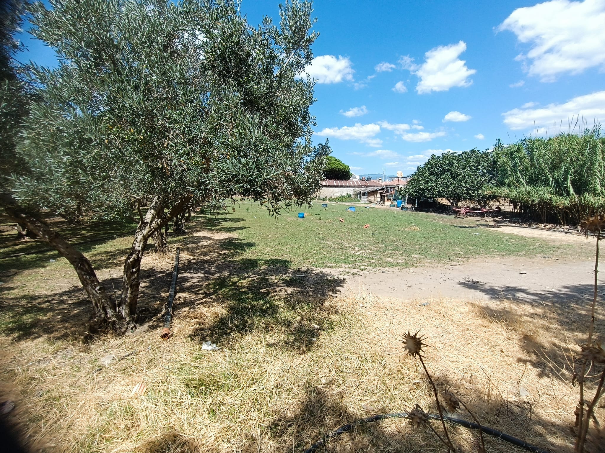 BURHANİYE ÇORUKTA 2,5 KAT İZİNLİ YATIRIM FIRSATI