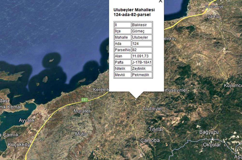 Century21 Bal'dan Balıkesir Gömeç’te Satılık Tarla