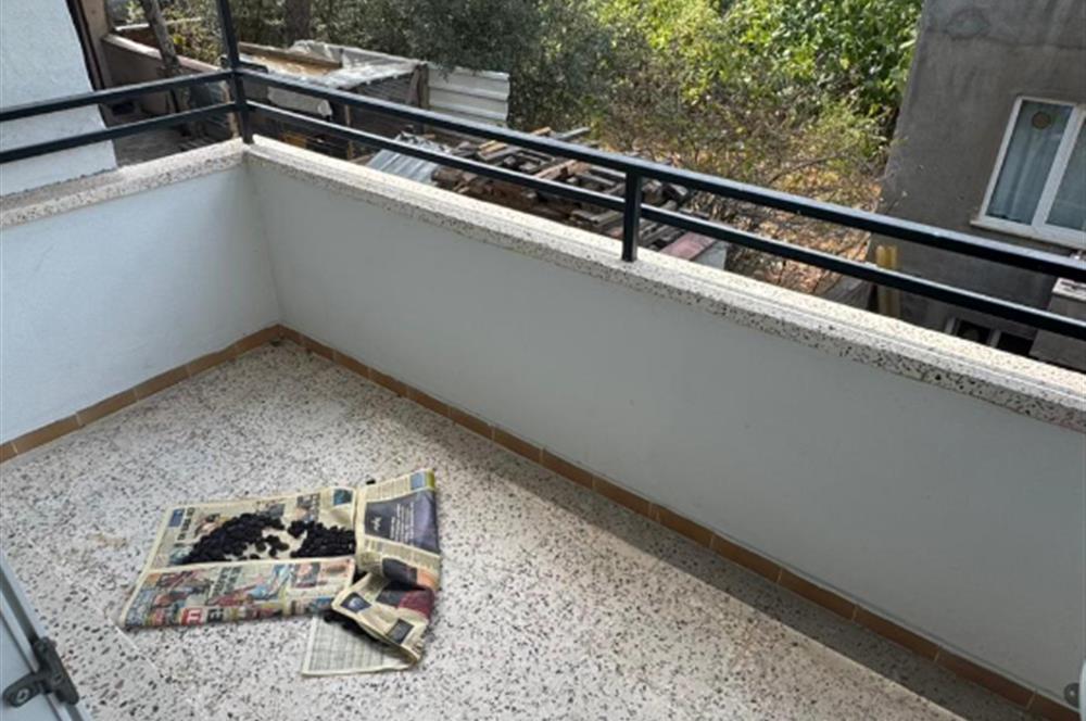 CENTURY21 BAL'DAN GENİŞ DAİRE