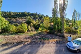 C21 LOCA BALIKESİR SARIALAN OTOYOL GİŞE YAKINI 720M2HOBİ BAHÇESİ