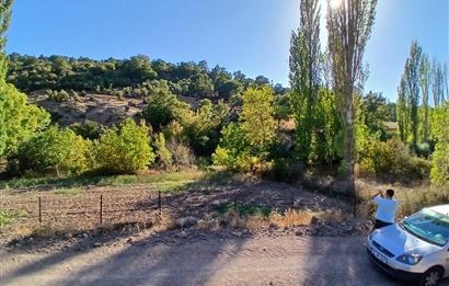 C21 LOCA BALIKESİR SARIALAN OTOYOL GİŞE YAKINI 720M2HOBİ BAHÇESİ