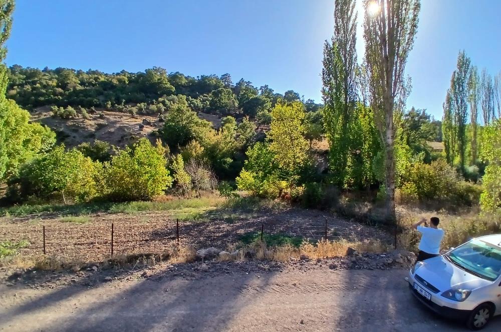 C21 LOCA BALIKESİR SARIALAN OTOYOL GİŞE YAKINI 720M2HOBİ BAHÇESİ