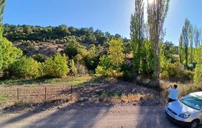 C21 LOCA BALIKESİR SARIALAN OTOYOL GİŞE YAKINI 720M2HOBİ BAHÇESİ