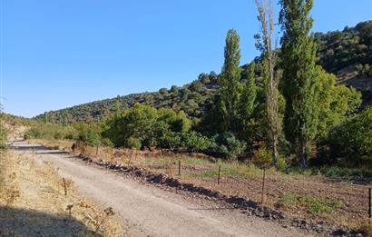 C21 LOCA BALIKESİR SARIALAN OTOYOL GİŞE YAKINI 720M2HOBİ BAHÇESİ