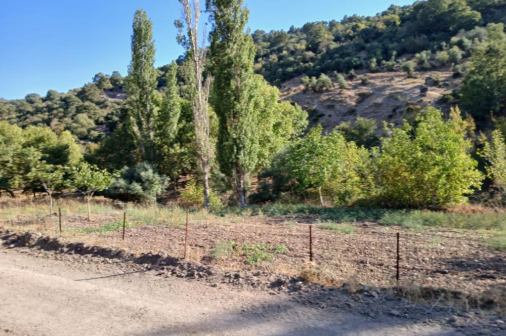 C21 LOCA BALIKESİR SARIALAN OTOYOL GİŞE YAKINI 720M2HOBİ BAHÇESİ