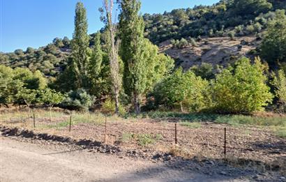 C21 LOCA BALIKESİR SARIALAN OTOYOL GİŞE YAKINI 720M2HOBİ BAHÇESİ