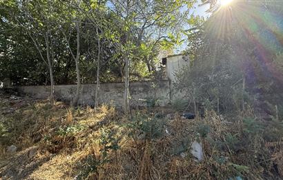Century21 Bal'dan Dinkçilerde Satılık 2 Katlı Avlulu Kargir Ev