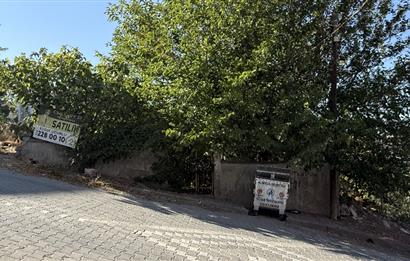 Century21 Bal'dan Dinkçilerde Satılık 2 Katlı Avlulu Kargir Ev