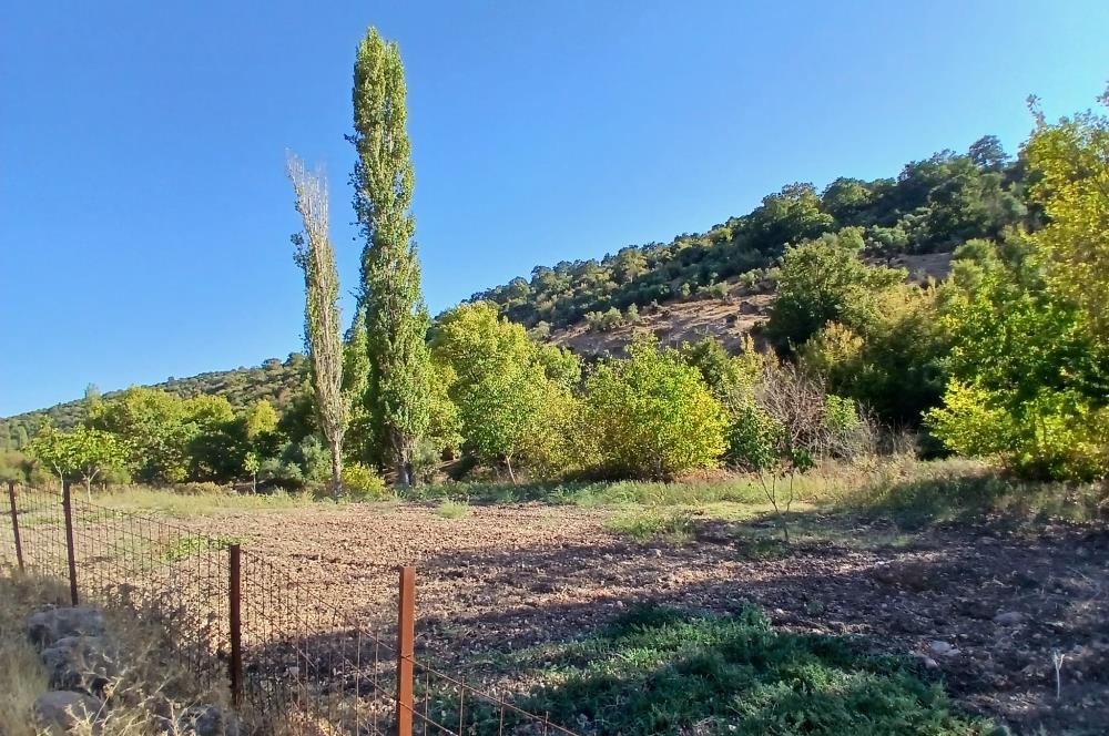 C21 LOCA BALIKESİR SARIALAN OTOYOL GİŞE YAKINI 720M2HOBİ BAHÇESİ