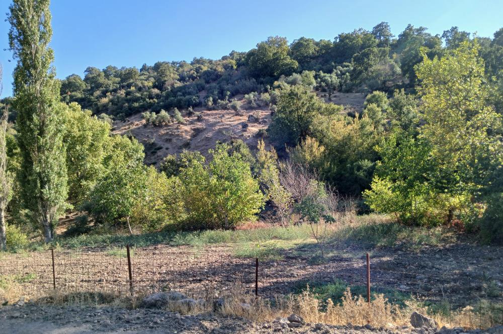 C21 LOCA BALIKESİR SARIALAN OTOYOL GİŞE YAKINI 720M2HOBİ BAHÇESİ