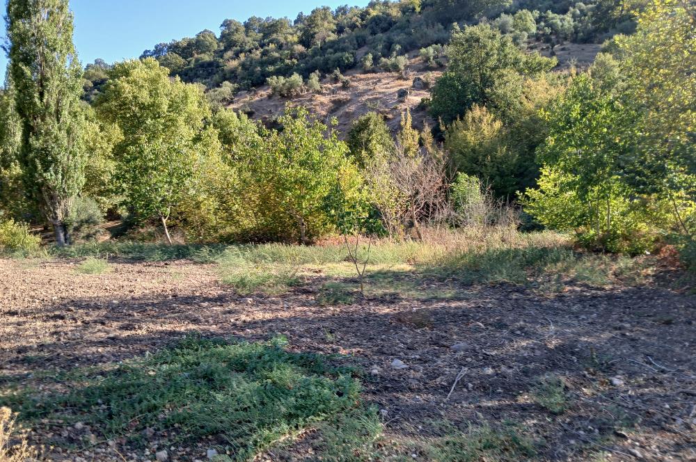 C21 LOCA BALIKESİR SARIALAN OTOYOL GİŞE YAKINI 720M2HOBİ BAHÇESİ