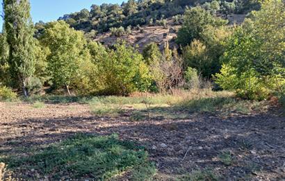C21 LOCA BALIKESİR SARIALAN OTOYOL GİŞE YAKINI 720M2HOBİ BAHÇESİ