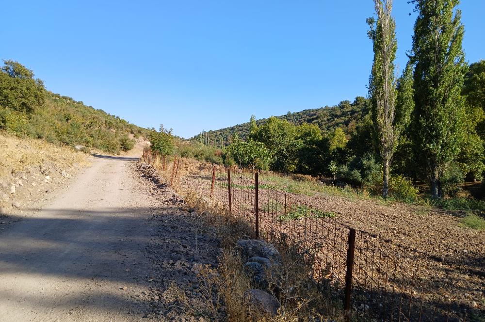 C21 LOCA BALIKESİR SARIALAN OTOYOL GİŞE YAKINI 720M2HOBİ BAHÇESİ