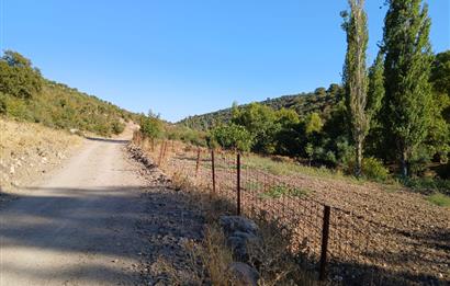 C21 LOCA BALIKESİR SARIALAN OTOYOL GİŞE YAKINI 720M2HOBİ BAHÇESİ