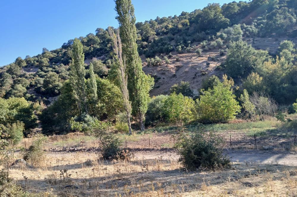 C21 LOCA BALIKESİR SARIALAN OTOYOL GİŞE YAKINI 720M2HOBİ BAHÇESİ