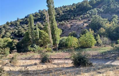 C21 LOCA BALIKESİR SARIALAN OTOYOL GİŞE YAKINI 720M2HOBİ BAHÇESİ