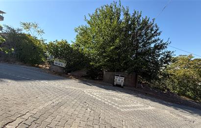 Century21 Bal'dan Dinkçilerde Satılık Arsa