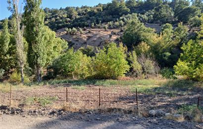 C21 LOCA BALIKESİR SARIALAN OTOYOL GİŞE YAKINI 720M2HOBİ BAHÇESİ