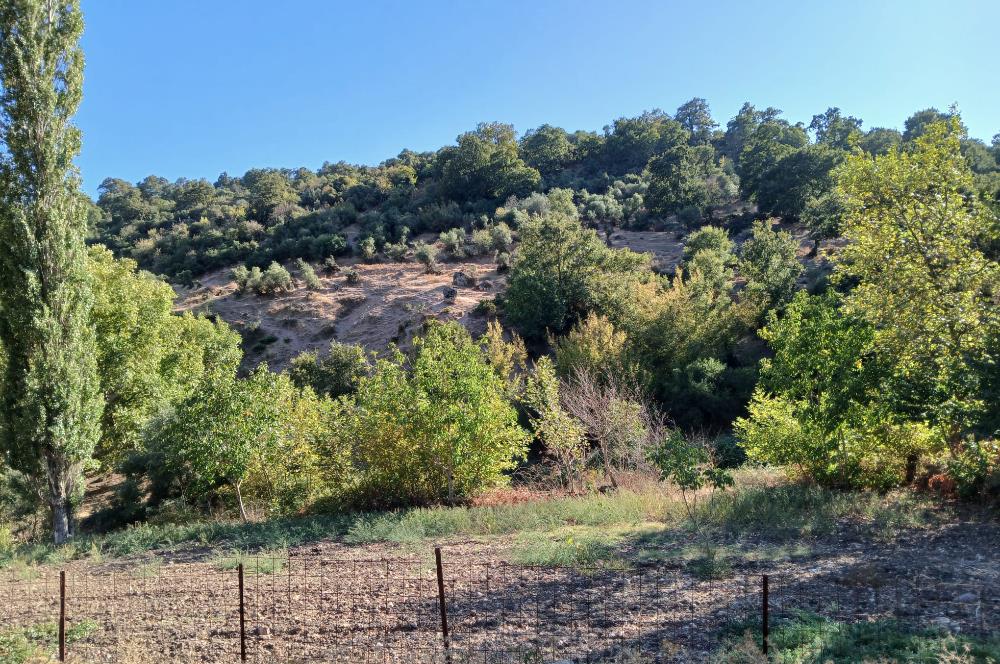 C21 LOCA BALIKESİR SARIALAN OTOYOL GİŞE YAKINI 720M2HOBİ BAHÇESİ