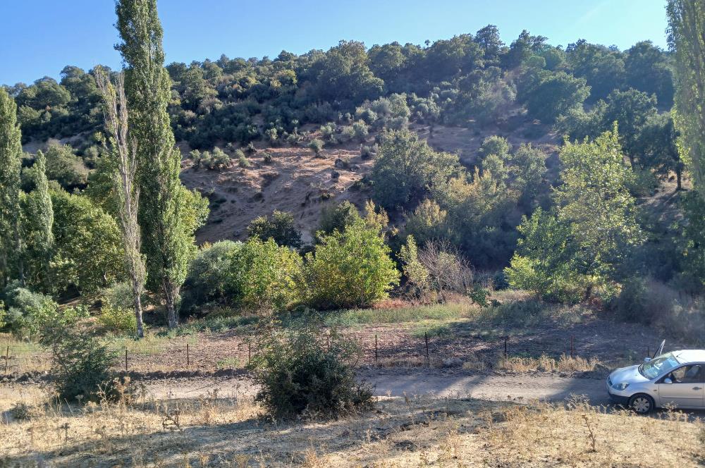 C21 LOCA BALIKESİR SARIALAN OTOYOL GİŞE YAKINI 720M2HOBİ BAHÇESİ
