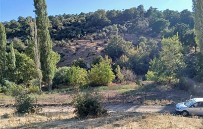 C21 LOCA BALIKESİR SARIALAN OTOYOL GİŞE YAKINI 720M2HOBİ BAHÇESİ