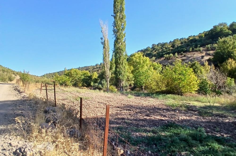 C21 LOCA BALIKESİR SARIALAN OTOYOL GİŞE YAKINI 720M2HOBİ BAHÇESİ