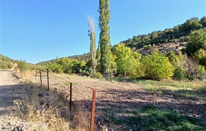 C21 LOCA BALIKESİR SARIALAN OTOYOL GİŞE YAKINI 720M2HOBİ BAHÇESİ