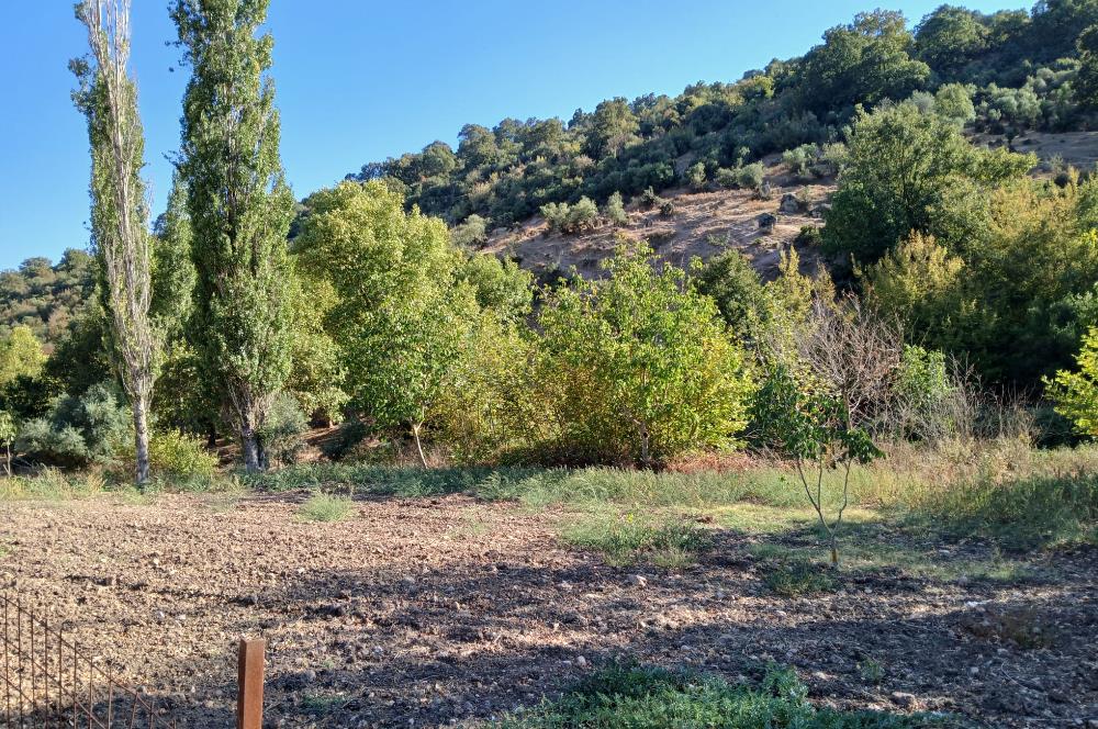 C21 LOCA BALIKESİR SARIALAN OTOYOL GİŞE YAKINI 720M2HOBİ BAHÇESİ