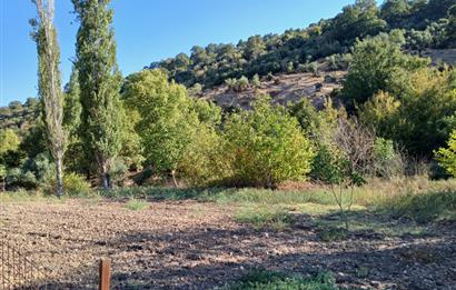 C21 LOCA BALIKESİR SARIALAN OTOYOL GİŞE YAKINI 720M2HOBİ BAHÇESİ