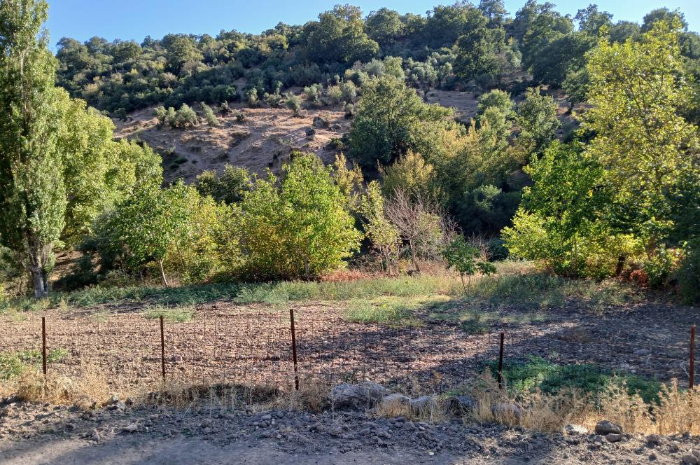 C21 LOCA BALIKESİR SARIALAN OTOYOL GİŞE YAKINI 720M2HOBİ BAHÇESİ