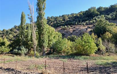 C21 LOCA BALIKESİR SARIALAN OTOYOL GİŞE YAKINI 720M2HOBİ BAHÇESİ