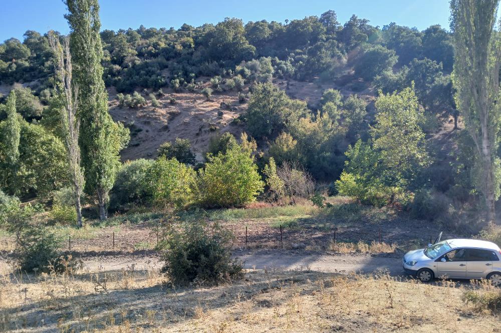 C21 LOCA BALIKESİR SARIALAN OTOYOL GİŞE YAKINI 720M2HOBİ BAHÇESİ