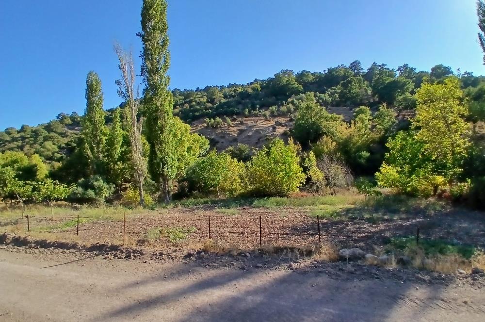 C21 LOCA BALIKESİR SARIALAN OTOYOL GİŞE YAKINI 720M2HOBİ BAHÇESİ