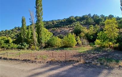 C21 LOCA BALIKESİR SARIALAN OTOYOL GİŞE YAKINI 720M2HOBİ BAHÇESİ