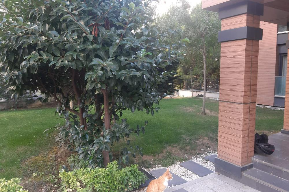 KOZYATAĞI'NDA AİLELER İÇİN FIRSAT DAİRE!