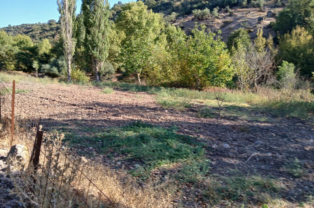 C21 LOCA BALIKESİR SARIALAN OTOYOL GİŞE YAKINI 720M2HOBİ BAHÇESİ