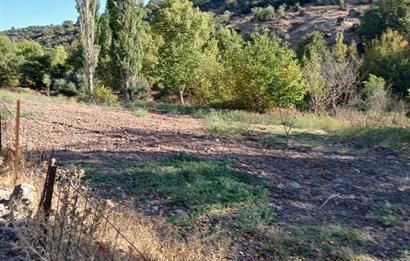 C21 LOCA BALIKESİR SARIALAN OTOYOL GİŞE YAKINI 720M2HOBİ BAHÇESİ