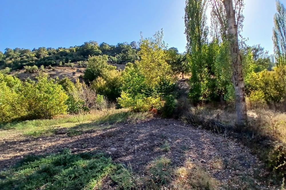 C21 LOCA BALIKESİR SARIALAN OTOYOL GİŞE YAKINI 720M2HOBİ BAHÇESİ