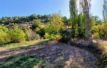 C21 LOCA BALIKESİR SARIALAN OTOYOL GİŞE YAKINI 720M2HOBİ BAHÇESİ