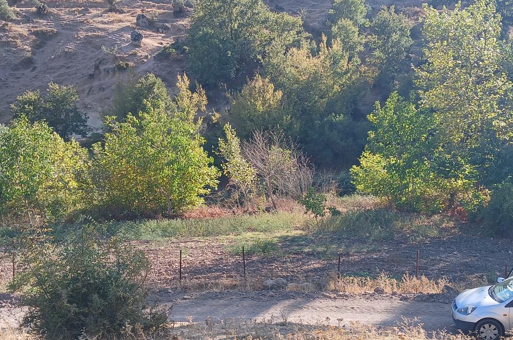 C21 LOCA BALIKESİR SARIALAN OTOYOL GİŞE YAKINI 720M2HOBİ BAHÇESİ