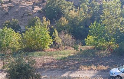 C21 LOCA BALIKESİR SARIALAN OTOYOL GİŞE YAKINI 720M2HOBİ BAHÇESİ