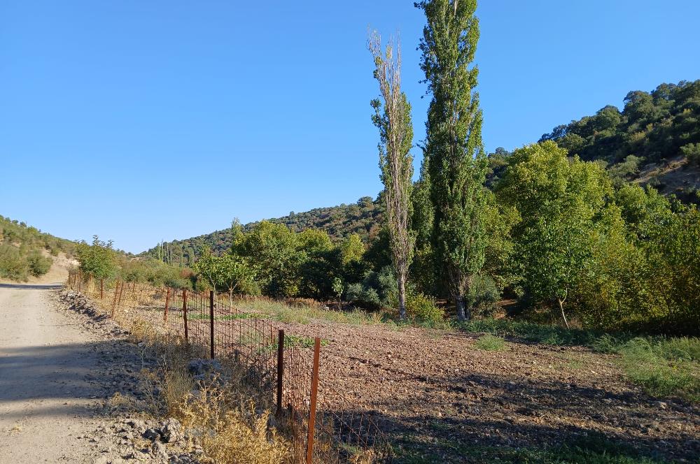 C21 LOCA BALIKESİR SARIALAN OTOYOL GİŞE YAKINI 720M2HOBİ BAHÇESİ