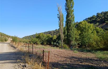 C21 LOCA BALIKESİR SARIALAN OTOYOL GİŞE YAKINI 720M2HOBİ BAHÇESİ