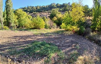 C21 LOCA BALIKESİR SARIALAN OTOYOL GİŞE YAKINI 720M2HOBİ BAHÇESİ