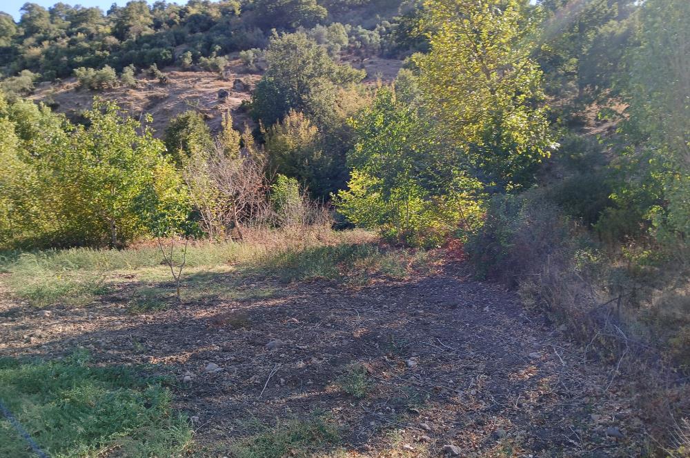 C21 LOCA BALIKESİR SARIALAN OTOYOL GİŞE YAKINI 720M2HOBİ BAHÇESİ