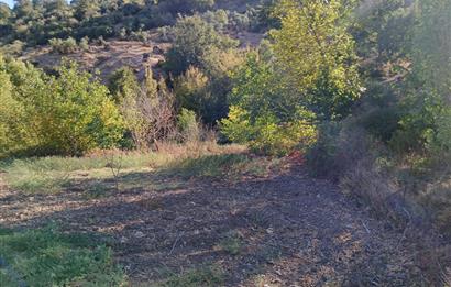 C21 LOCA BALIKESİR SARIALAN OTOYOL GİŞE YAKINI 720M2HOBİ BAHÇESİ