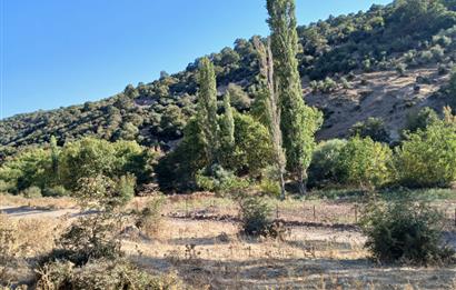 C21 LOCA BALIKESİR SARIALAN OTOYOL GİŞE YAKINI 720M2HOBİ BAHÇESİ