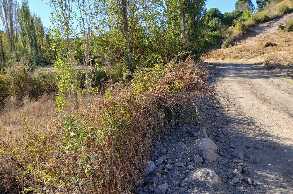 C21 LOCA BALIKESİR SARIALAN OTOYOL GİŞE YAKINI 720M2HOBİ BAHÇESİ